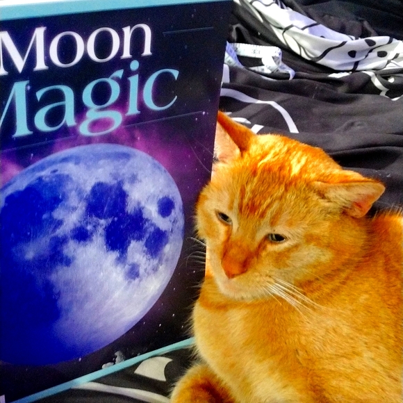 🌛Moon🌜Magic🪄 Book✨💫 - Picture 2 of 16